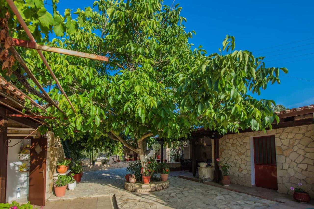 Porto Giardino Apartments Kypseli エクステリア 写真